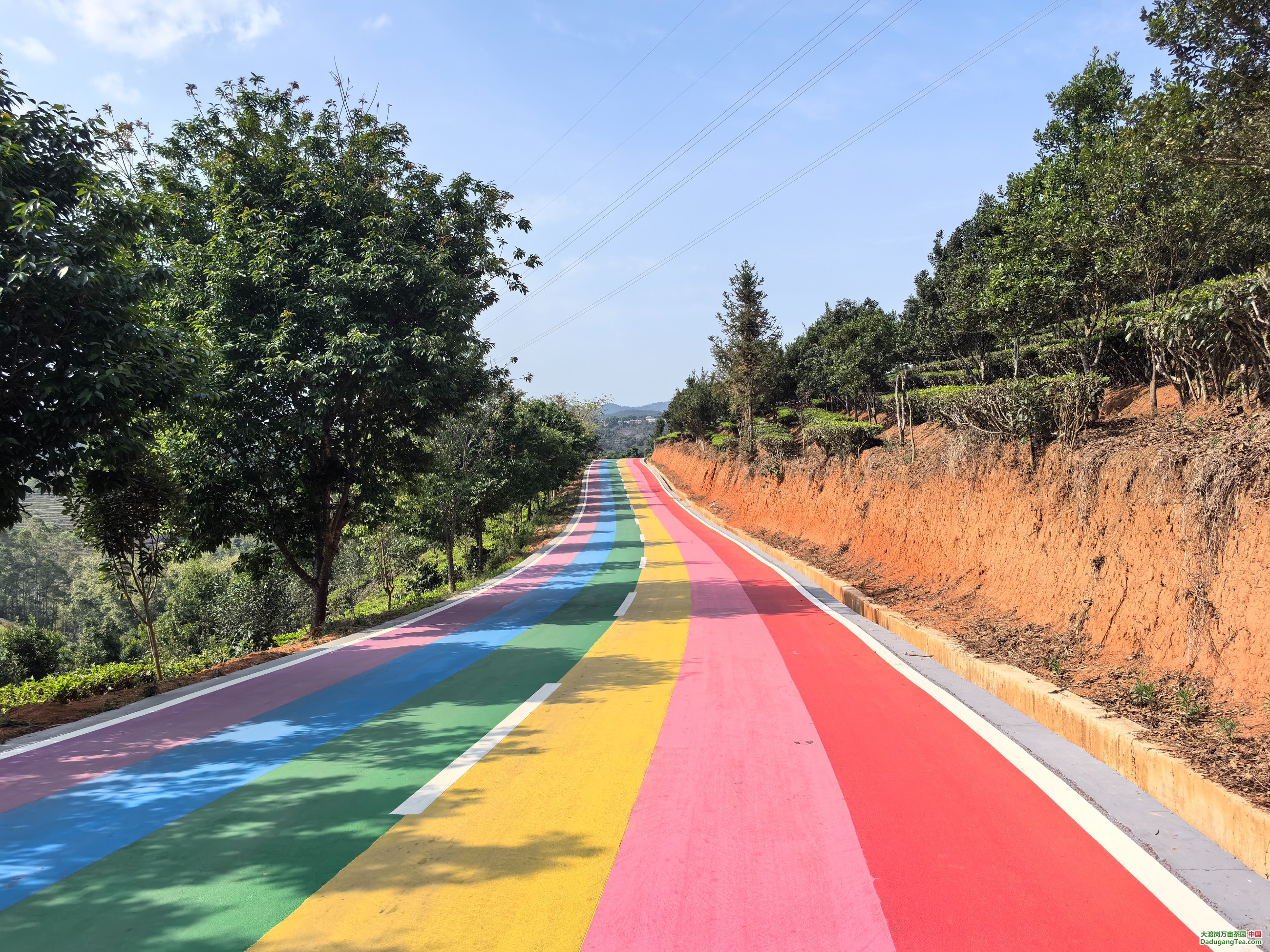 图片关键词 图片关键词