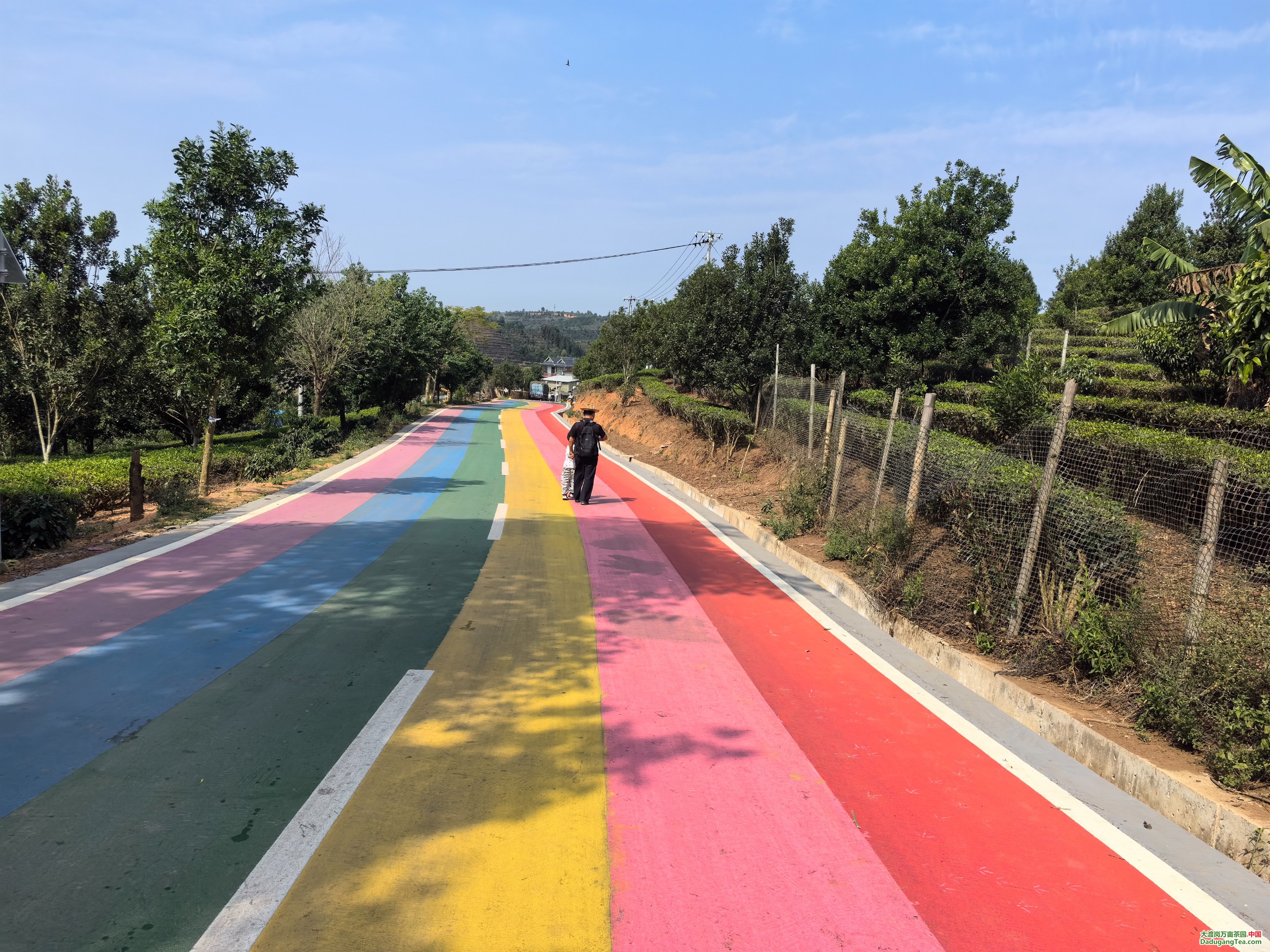 图片关键词 图片关键词