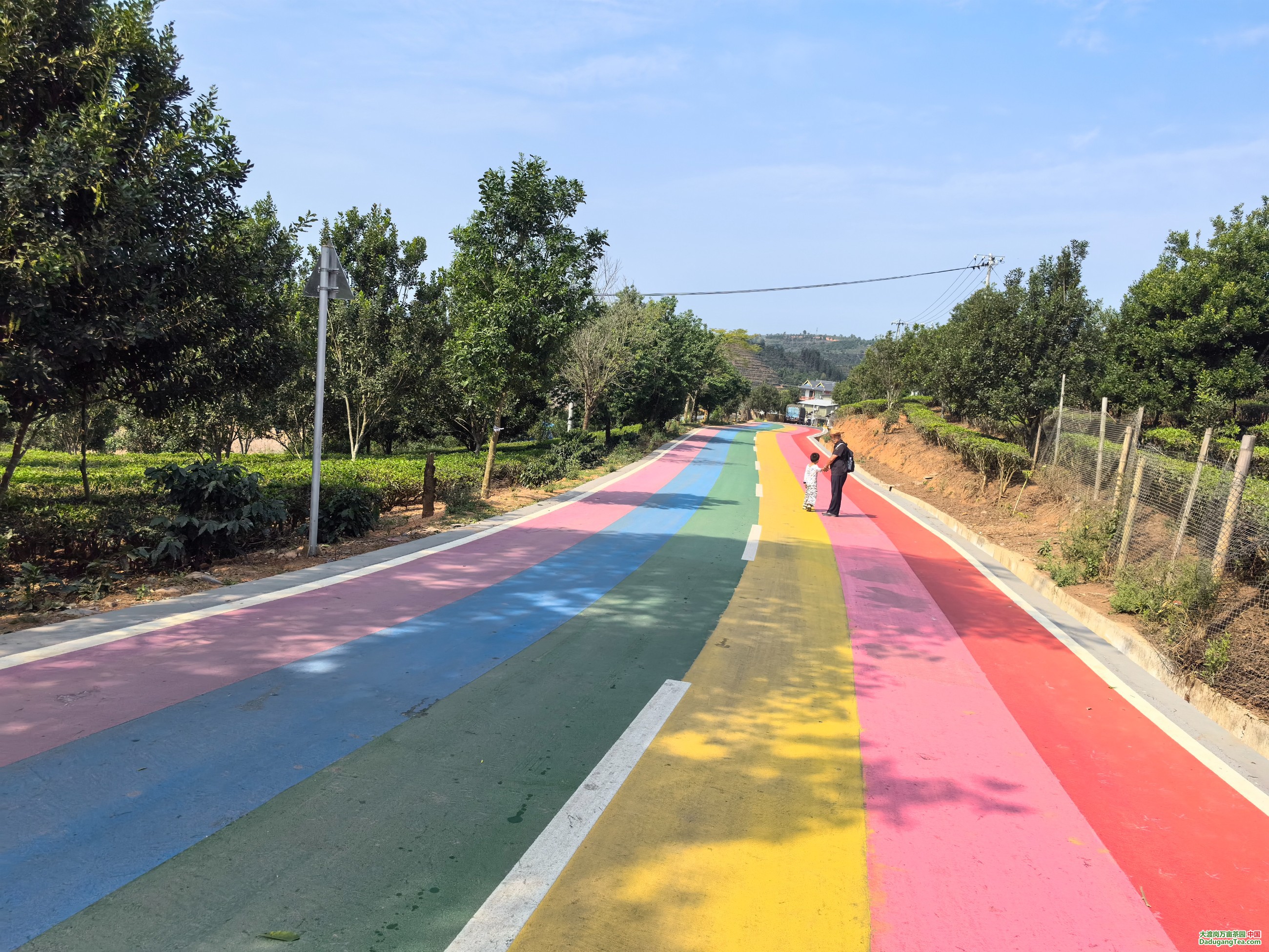 图片关键词 图片关键词