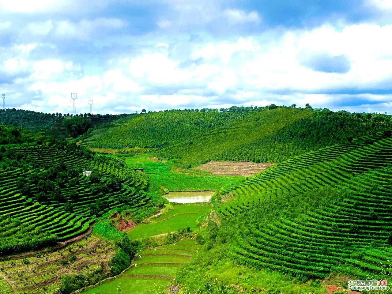 图片关键词 图片关键词