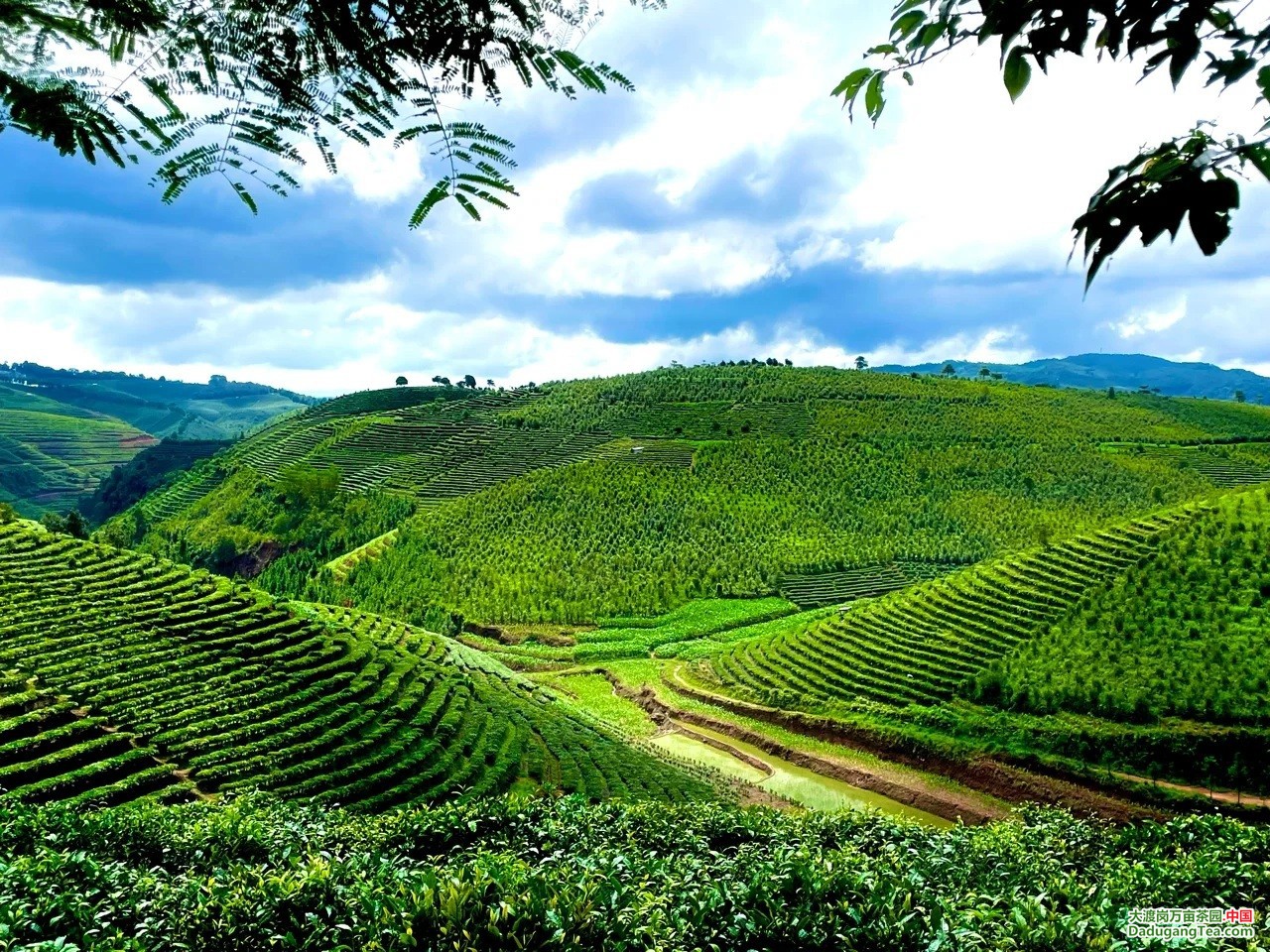 图片关键词 图片关键词