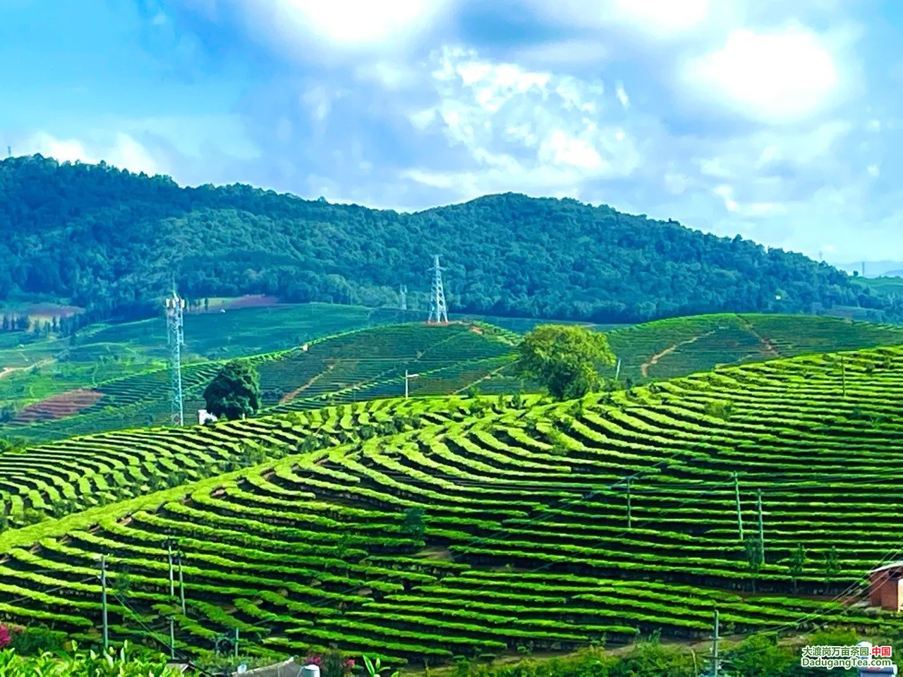 图片关键词 图片关键词