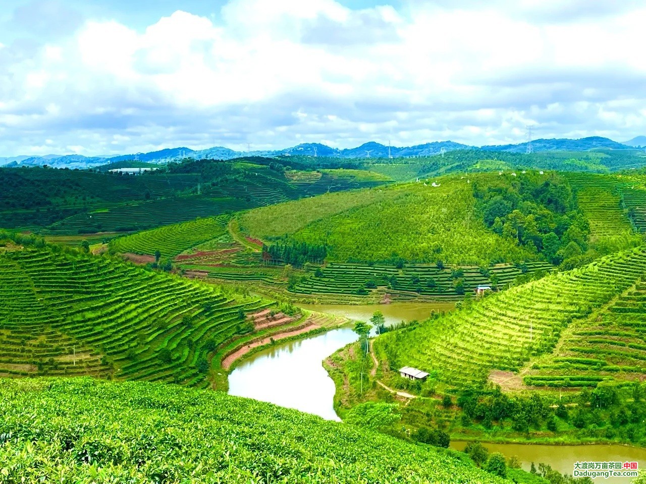 图片关键词 图片关键词