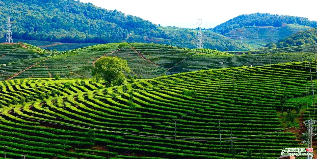 图片关键词 图片关键词