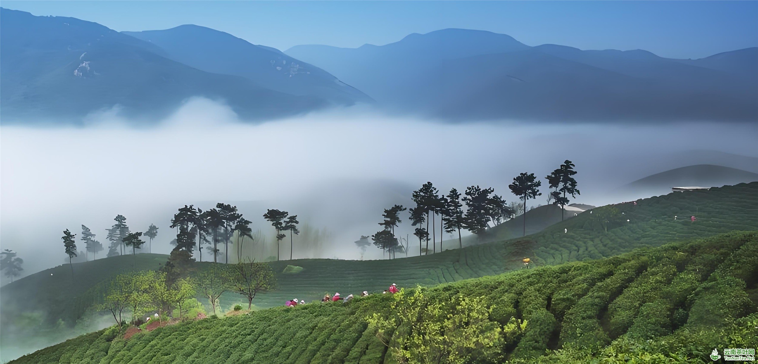 图片关键词 图片关键词