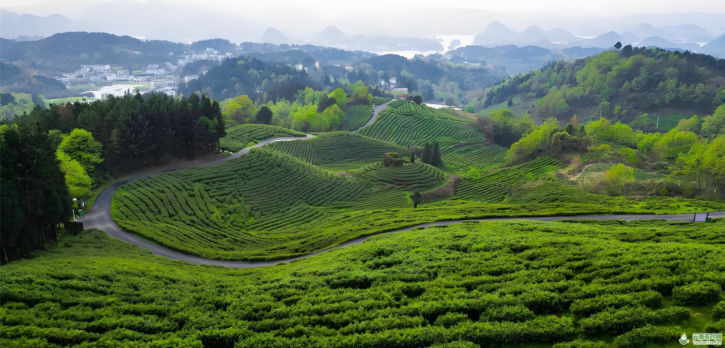 图片关键词 图片关键词