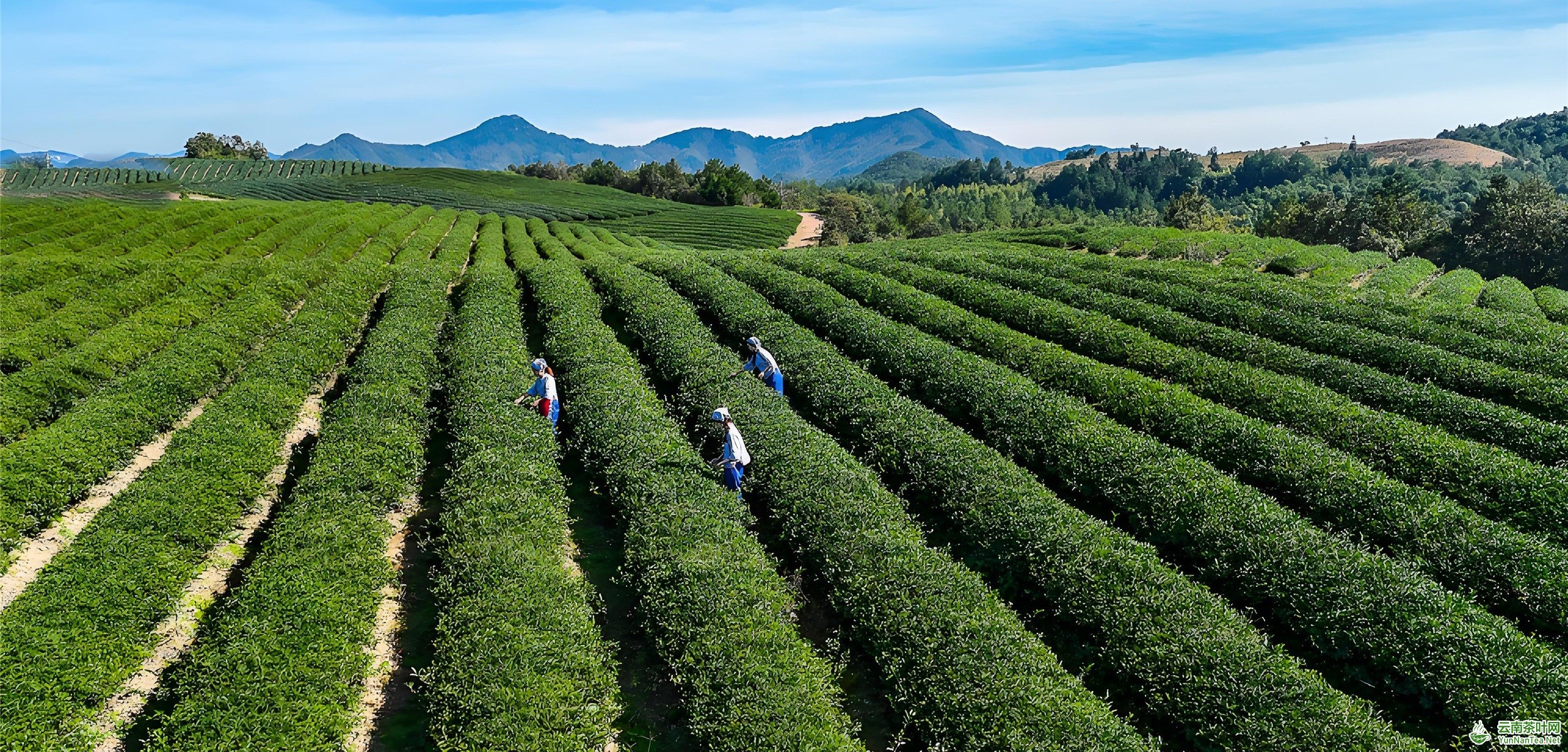 图片关键词 图片关键词