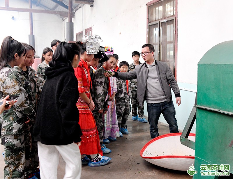 推介制茶过程。