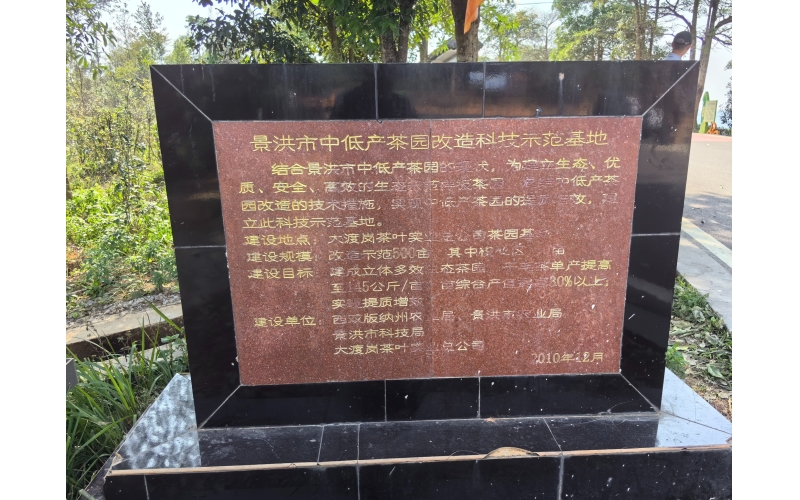景洪市中低产茶园改造科技示范基地Jinghong City Medium and Low Yield Tea Plantation Transformation Technology Demonstration Base
