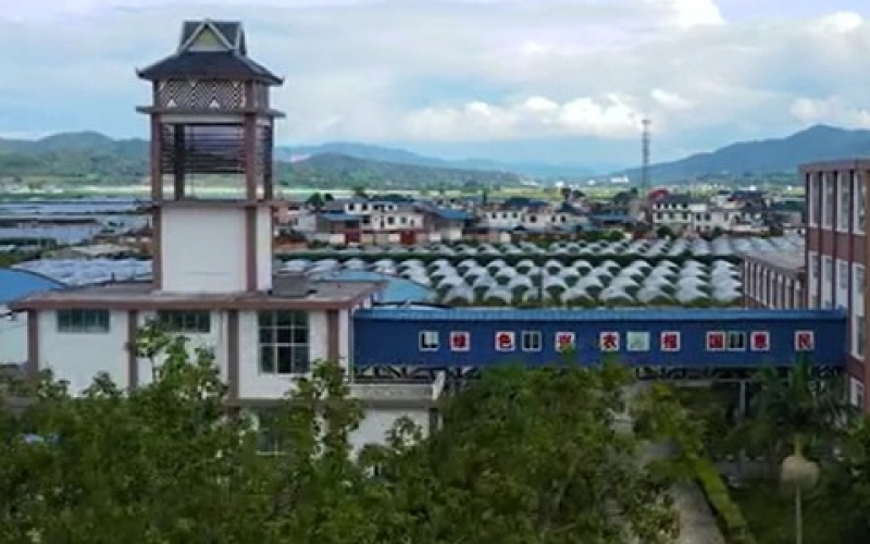 云南农垦集团勐海八角亭茶业有限公司 Yunnan Agricultural Reclamation Group Menghai Bajiaoting Tea Industry Co., Ltd