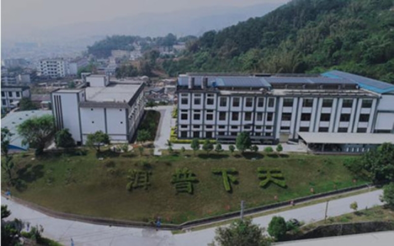 云南普洱茶（集团）有限公司 Yunnan Pu'er Tea (Group) Co., Ltd