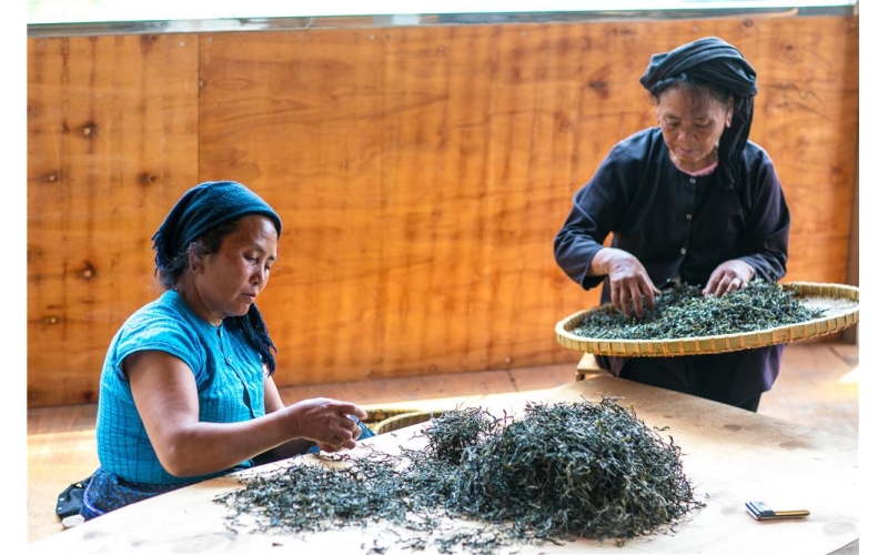 云南知名茶叶品牌介绍 Introduction to Famous Tea Brands in Yunnan