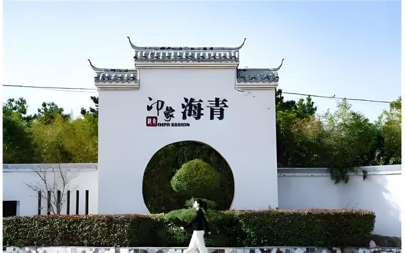 山海之间的绿意传奇&mdash;&mdash;海青茶里的江北春秋The Legend of Greenery between Mountains and Seas - The Spring and Autumn of Jiangbei in Haiqing Tea